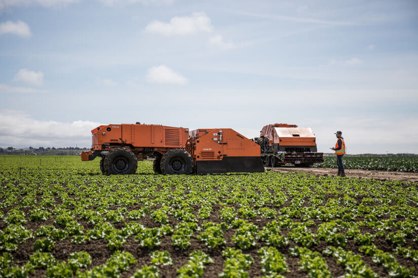 FarmWise employee operating a robot